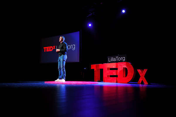 Henrik Zeberg TED Talk economics